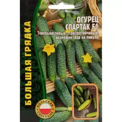 Огурец Спартак F1 (Польша) 50 шт РЕДКИЕ СЕМЕНА