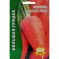 Морковь Шантане Роял 5000 шт РЕДКИЕ СЕМЕНА
