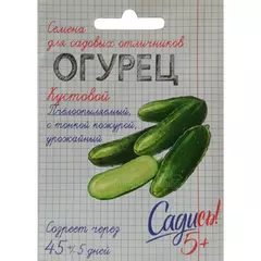 Огурец Кустовой 0,3 г САДИСЬ 5!
