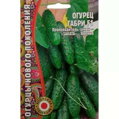 Огурец Габри F1 7 шт РЕДКИЕ СЕМЕНА