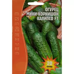 Огурец Калипсо мини корнишон  F1 20 шт РЕДКИЕ СЕМЕНА