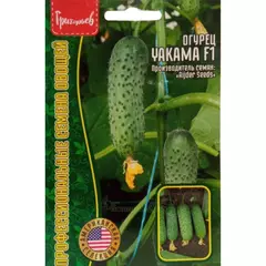 Огурец Якама F1 10 шт США РЕДКИЕ СЕМЕНА