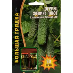 Огурец Феникс Плюс 50 шт РЕДКИЕ СЕМЕНА