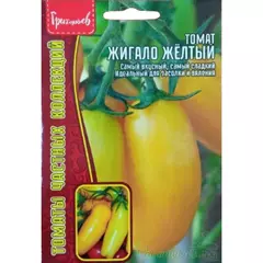 Томат Жигало желтый 10 шт РЕДКИЕ СЕМЕНА