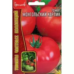 Томат Монгольский карлик 8 шт РЕДКИЕ СЕМЕНА