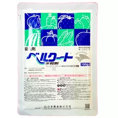 Беркут Япония