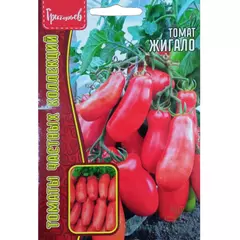 Томат Жигало 10 шт РЕДКИЕ СЕМЕНА