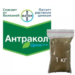 Антракол фунгицид