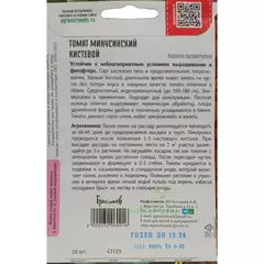 Томат Минусинский Кистевой 10 шт РЕДКИЕ СЕМЕНА