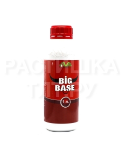 AVAGRO BIG BASE 1 л