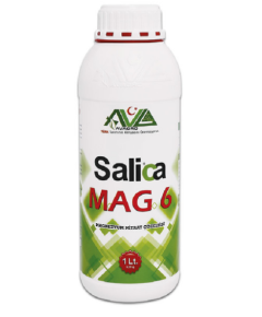 AVAGRO SALICA Салика MAG6 1 л