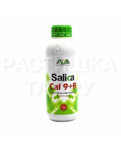 AVAGRO SALICA Салика CAL 9+В  1 л