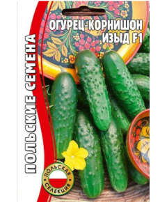 Огурец Изыд (корнишон) 10 шт РЕДКИЕ СЕМЕНА