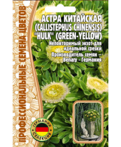 Астра китайская HULK (GREEN-YELLOW) 5 шт РЕДКИЕ СЕМЕНА