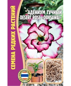 Адениум тучный DESERT ROSE  DOKSAWAL 3 шт РЕДКИЕ СЕМЕНА