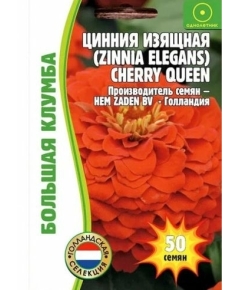 Цинния Черри Квин изящная 50 шт  РЕДКИЕ СЕМЕНА