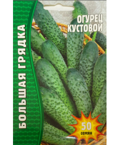 Огурец Кустовой 30 шт РЕДКИЕ СЕМЕНА