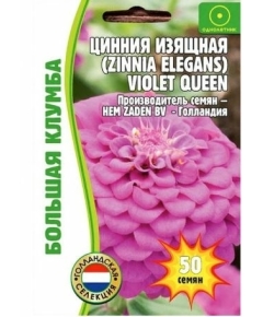 Цинния Виолет Квин изящная 50 шт РЕДКИЕ СЕМЕНА