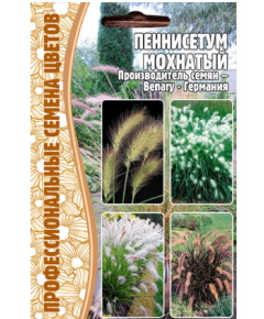 Пеннисетум Мохнатый (PENNISETUM VILLOSUM) 10 шт РЕДКИЕ СЕМЕНА