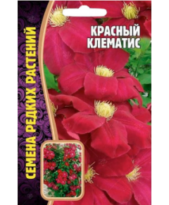 Клематис Красный 3 шт РЕДКИЕ СЕМЕНА