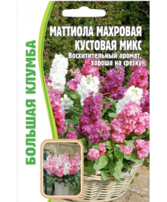 Маттиола махровая кустовая микс 0,1 г РЕДКИЕ СЕМЕНА