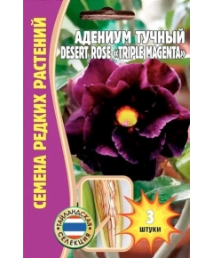 Адениум тучный DESERT ROSE TRIPLE MAGENTA 3 шт РЕДКИЕ СЕМЕНА