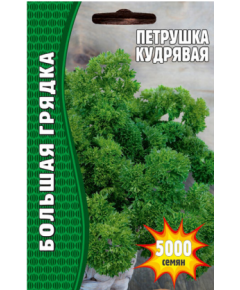 Петрушка Кудрявая 5000 шт РЕДКИЕ СЕМЕНА