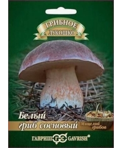 Белый Гриб Сосновый на зерновом  субстрате 15 мл