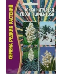 Юкка нитчатая  YUCCA FILAMENTOSA 15 шт РЕДКИЕ СЕМЕНА