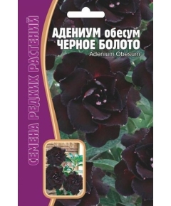 Адениум Черное Болото 3 шт РЕДКИЕ СЕМЕН