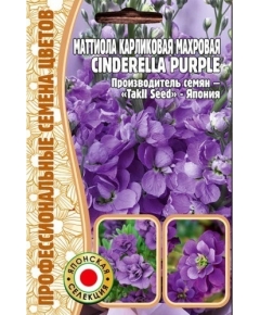 Маттиола CINDERELLA PURPLE карликовая махровая Синдерелла Парпл  5 шт РЕДКИЕ СЕМЕНА