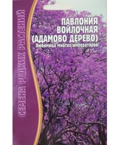 Павлония войлочная Адамово дерево 10 шт РЕДКИЕ СЕМЕНА