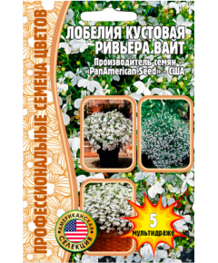 Лобелия Ривьера Вайт кустовая  F1 5 шт РЕДКИЕ СЕМЕНА
