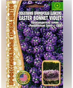 Алиссум (лобулярия) EASTER BONNET VIOLET 20 шт. РЕДКИЕ СЕМЕНА