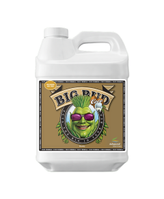 ADVANCED NUTRIENTS BIG BUD COCO LIQUID стимулятор образования соцветий