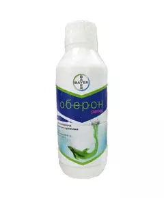 Оберон рапид