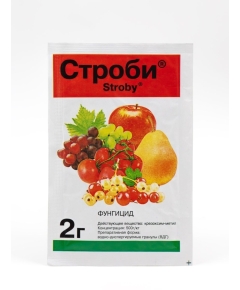 ЛТ Строби 2 г