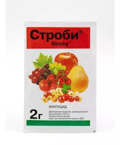 ЛТ Строби 2 г