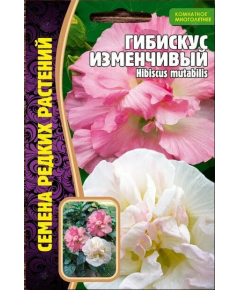 Гибискус Изменчивый 10 шт РЕДКИЕ СЕМЕНА