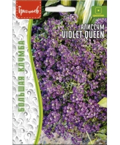 Алиссум VIOLET QUEEN 0,1 г РЕДКИЕ СЕМЕНА