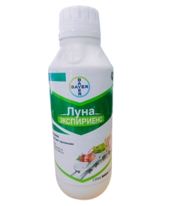 Луна Экспириенс 1 л