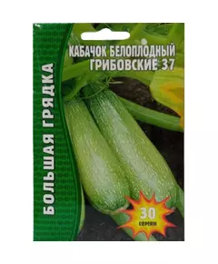 Кабачок белоплодный Грибовские 37  30 шт РЕДКИЕ СЕМЕНА