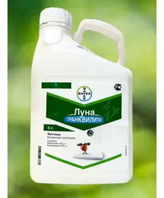 Луна Транквилити КС