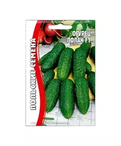 Огурец Полан 10 шт РЕДКИЕ СЕМЕНА