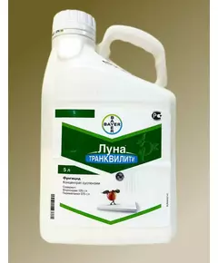 Луна Транквилити КС