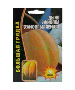 Дыня  Эфиопка самоопыляемая 20 шт РЕДКИЕ СЕМЕНА