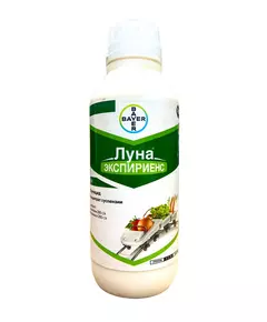 Луна Экспириенс