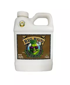 ADVANCED NUTRIENTS BIG BUD COCO LIQUID стимулятор образования соцветий