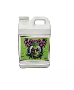 ADVANCED NUTRIENTS BIG BUD LIQUID стимулятор образования соцветий
