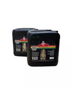 RASTEA COCO A/B  5 л